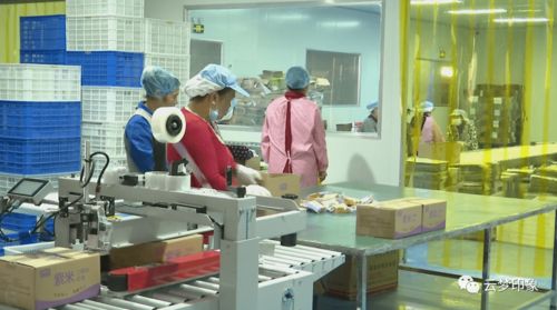 云夢經濟開發區 以完善服務體系為抓手，實現政企雙贏的信息系統運行維護新篇章